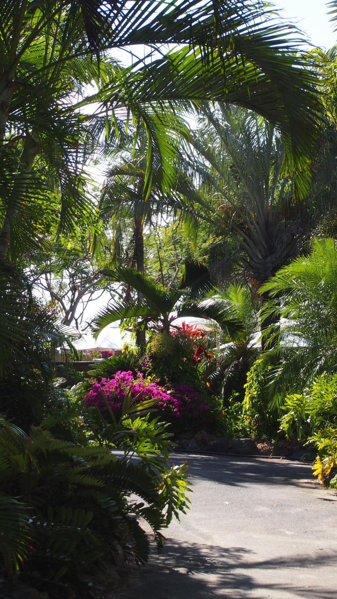לונג איילנד Palm Bay Resort מראה חיצוני תמונה